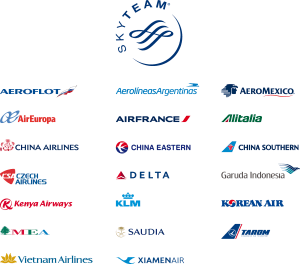 SkyTeam